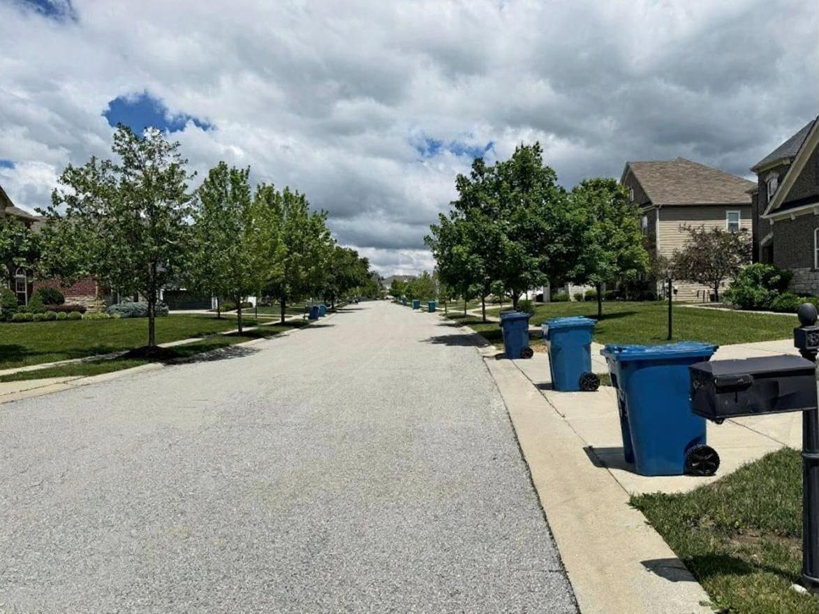 Blue recycling and trash bins lined up along a quiet suburban street on collection day